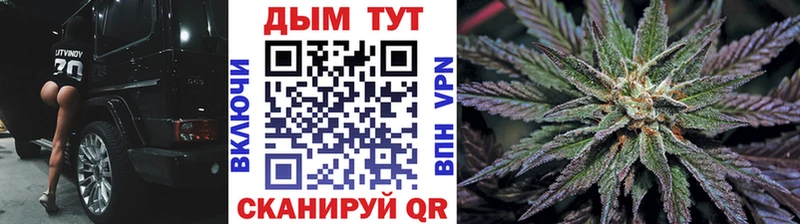 где купить   Владикавказ  Конопля AK-47 